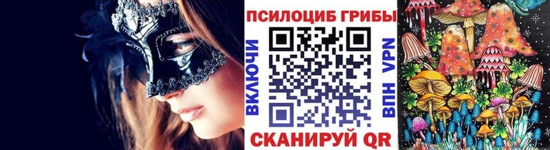 купить Тверь OMG сайт Псилоцибиновые грибы Psilocybe