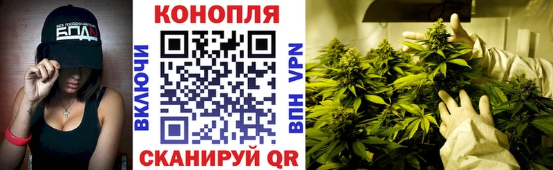 Каннабис Bruce Banner  дарнет шоп  Тверь 